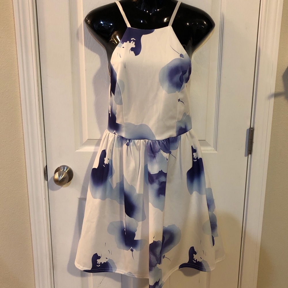 Fancyinn Blue and White Dress